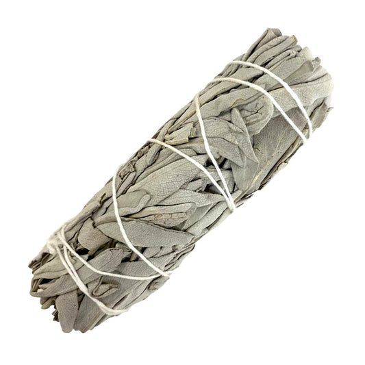 White Sage Smudge Bundle 6" | Sacred Cleansing | Spiritual Purification | Space Clearing | Meditation