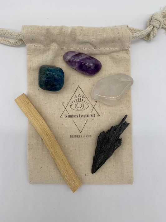 Intuition Strengthening Crystal Set | Amethyst Quartz Black Kyanite | Psychic Abilities | Meditation Kit