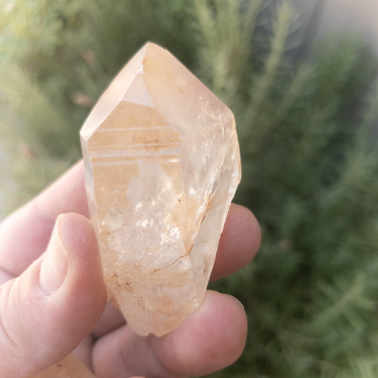 Tangerine Quartz Points | Natural Crystal Stones | Creativity & Joy | 1-2" Brazil | Healing Crystals