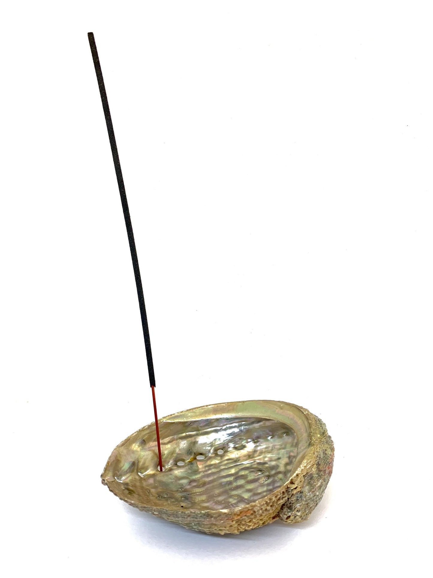 Abalone Shell Incense Holder | Natural Seashell Burner | 4-5" | Mind Body Soul Cleansing | All-Natural