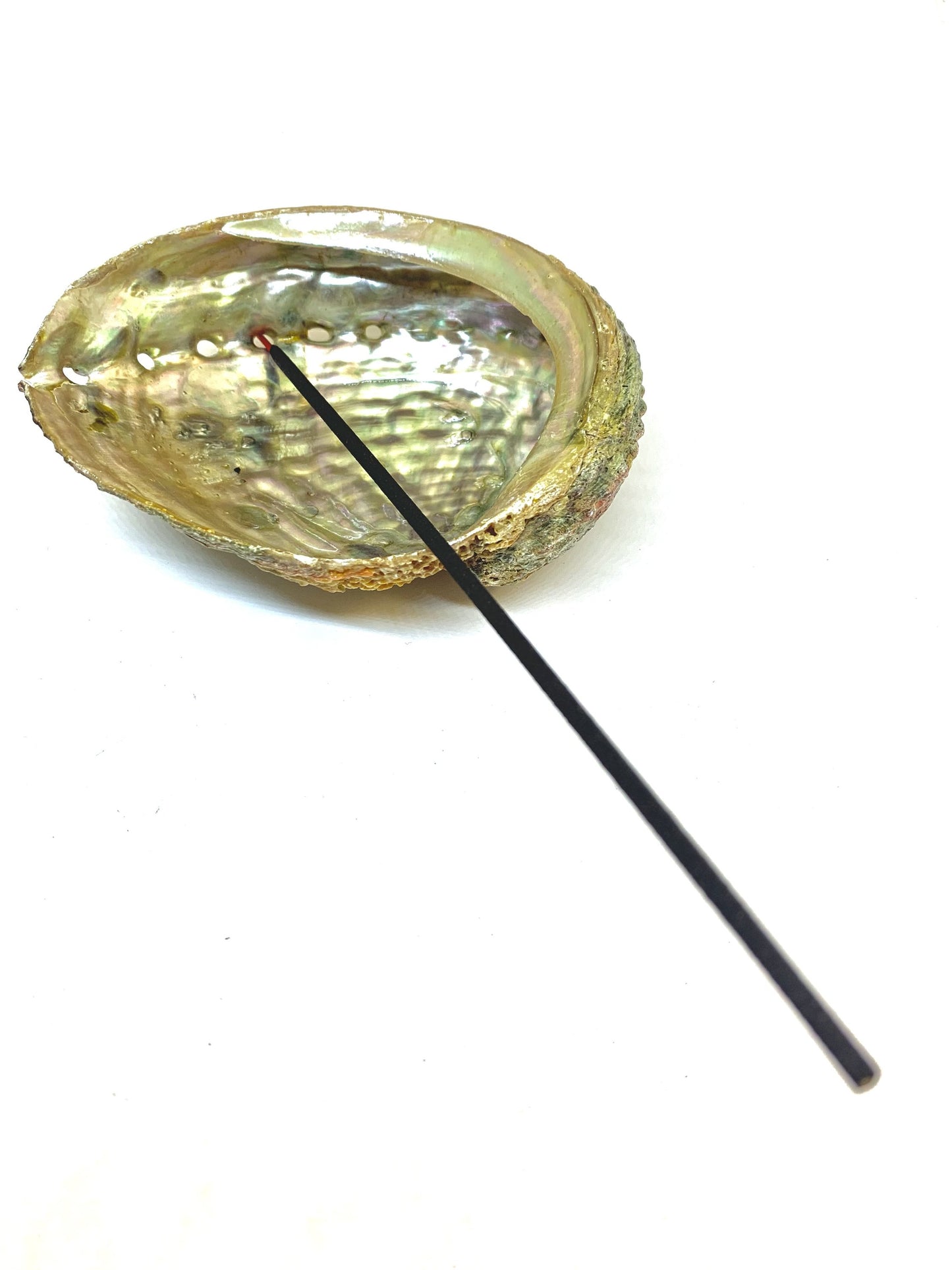 Abalone Shell Incense Holder | Natural Seashell Burner | 4-5" | Mind Body Soul Cleansing | All-Natural
