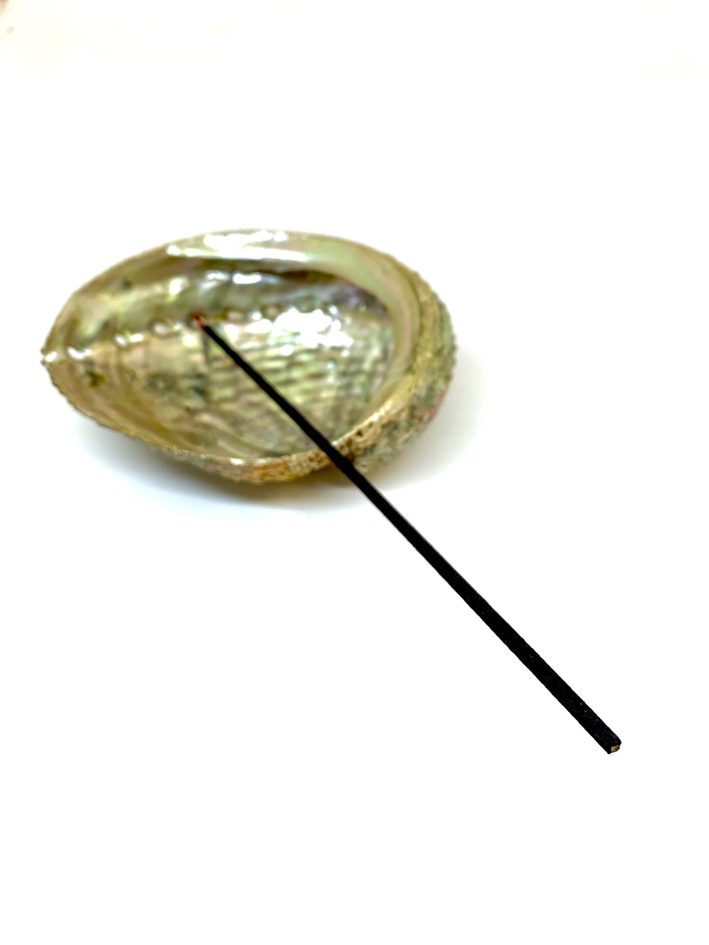 Abalone Shell Incense Holder | Natural Seashell Burner | 4-5" | Mind Body Soul Cleansing | All-Natural