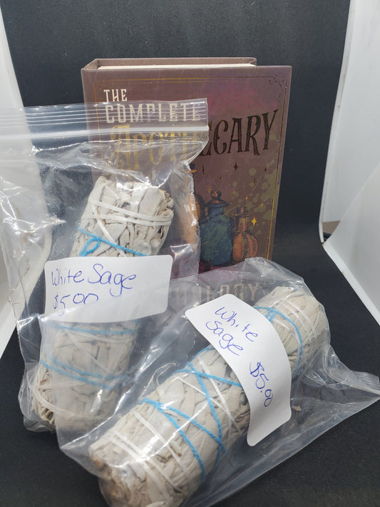 White Sage | Sacred Cleansing Herb | Smudging Supplies | Space Clearing | 3g